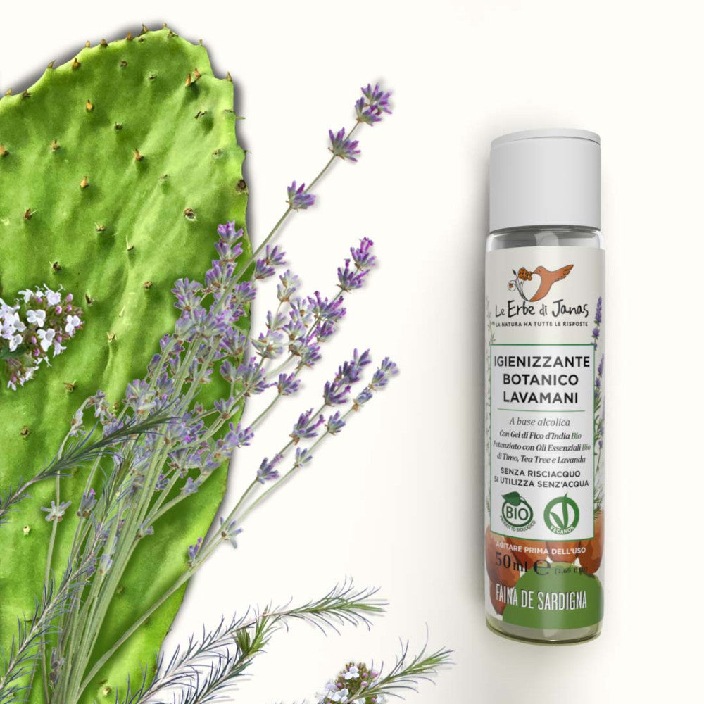 Igienizzante botanico lavamani