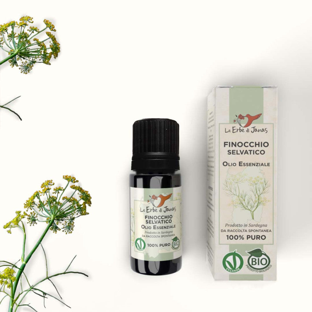 Olio essenziale finocchio selvatico