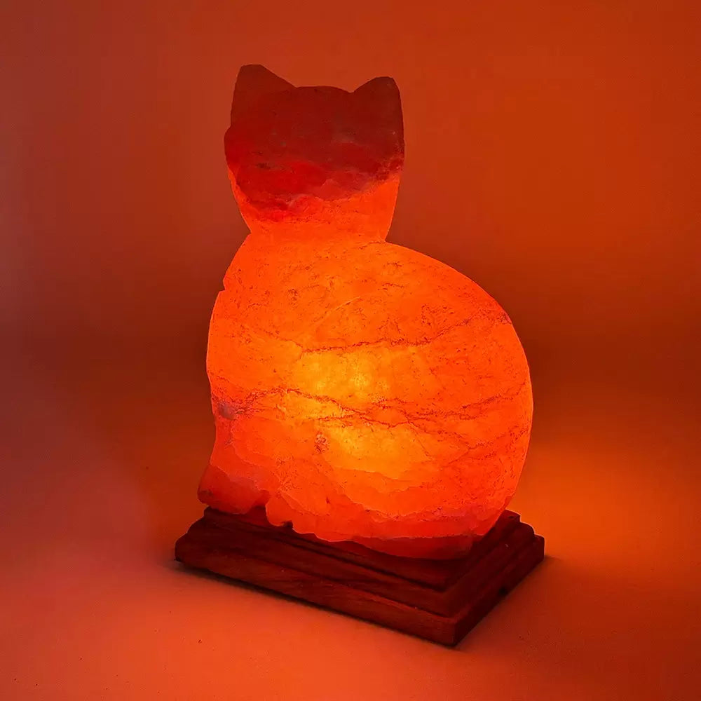 Lampada di sale a forma di gatto