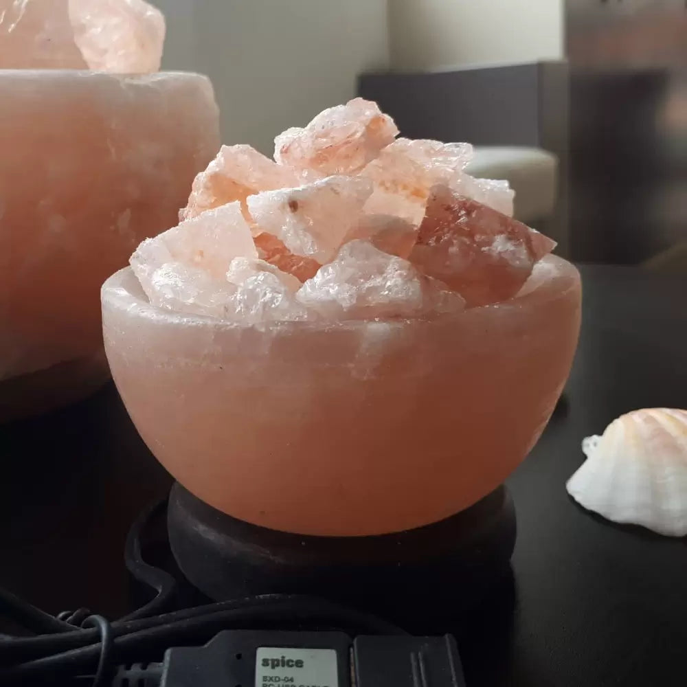 Lampada di Sale Himalayano USB scolpita a forma di Braciere 600 g