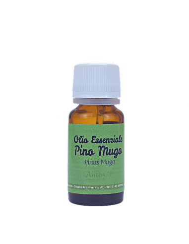 Olio essenziale puro di pino mugo