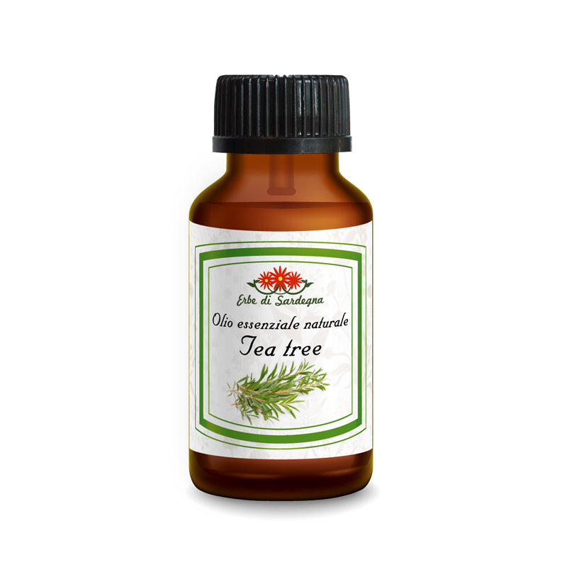 Olio essenziale di Tea Tree - ERBE DI SARDEGNA