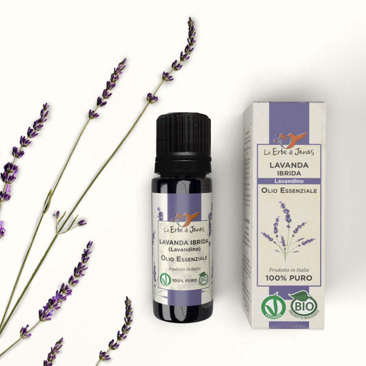Olio essenziale lavanda (Le Erbe di Janas)