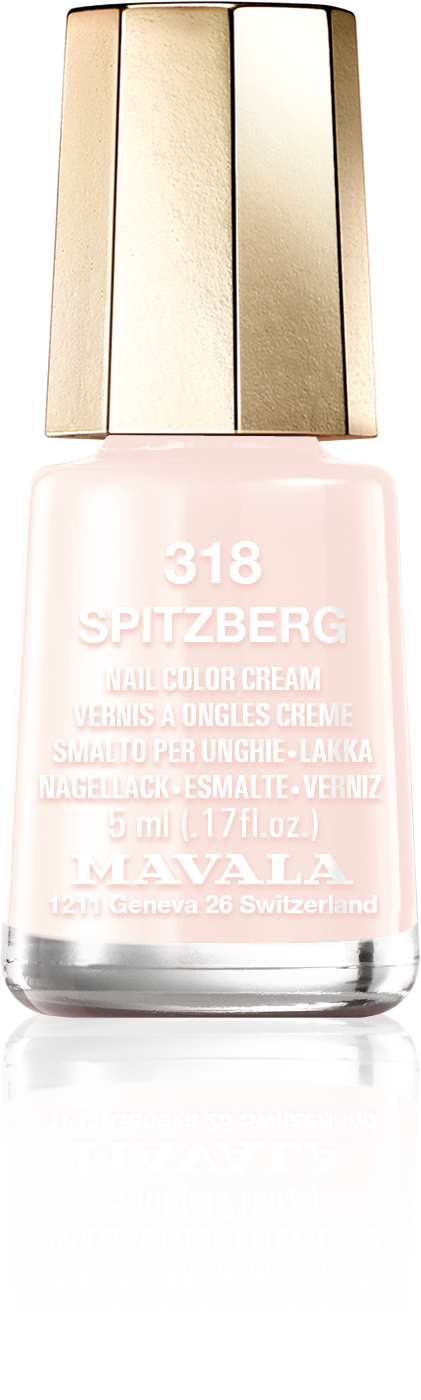 Smalti unghie n.318 SPITZBERG