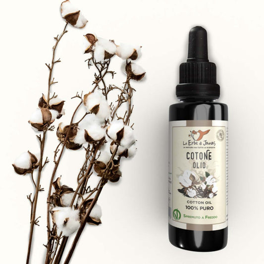 Olio di Cotone