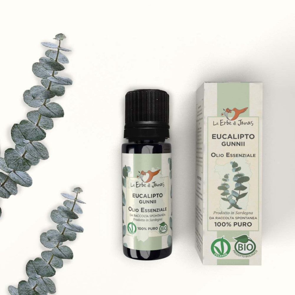 Olio essenziale di eucalipto Gunnii BIO