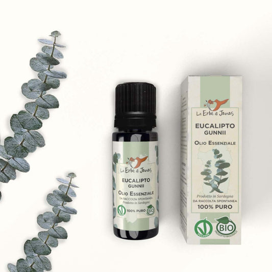 Olio essenziale di eucalipto Gunnii BIO
