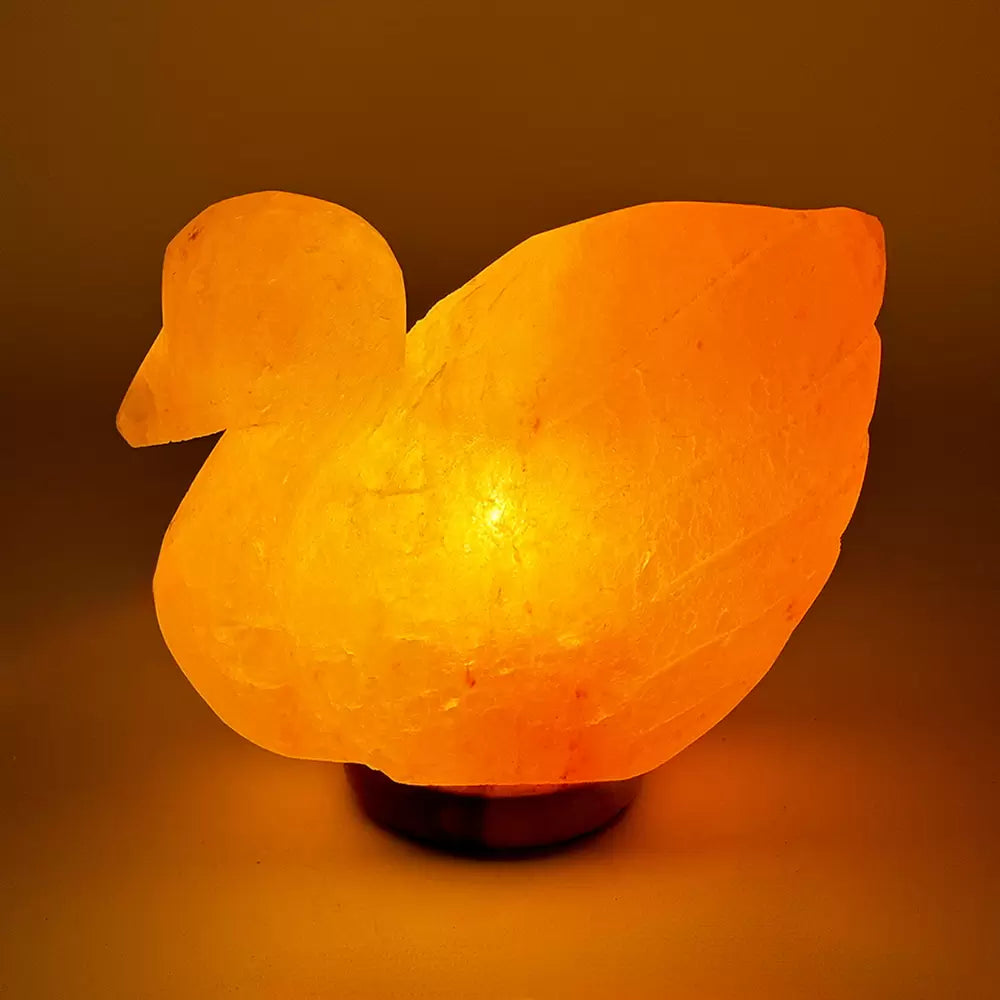 Lampada di Sale Himalayano scolpita a forma di Cigno