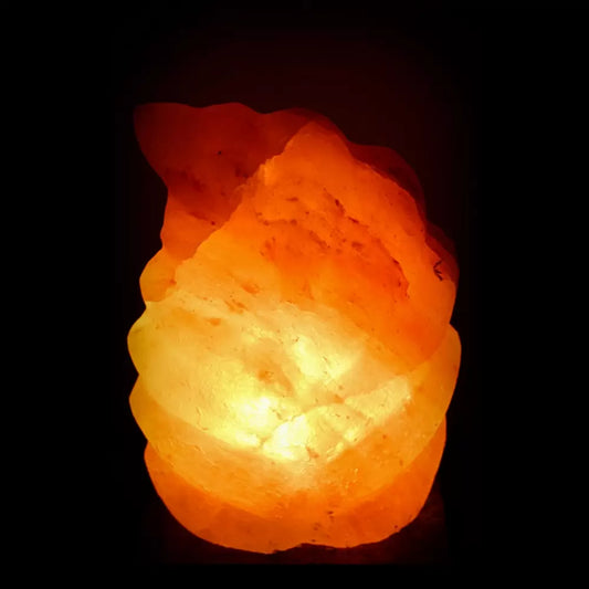 Lampada di Sale Himalayano scolpita a forma di foglia