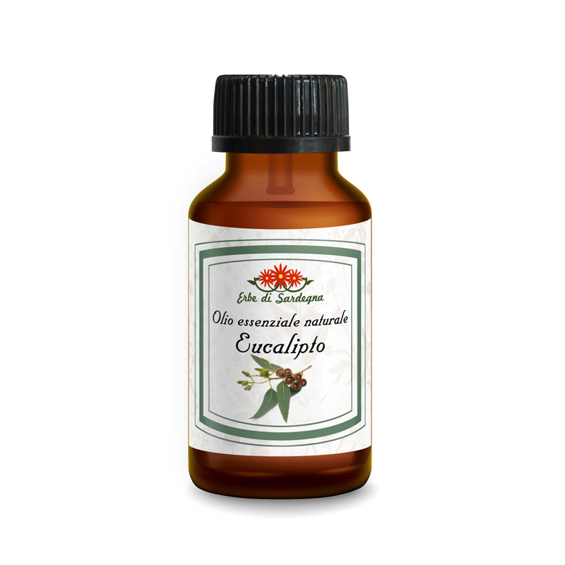 Olio essenziale di Eucalipto - ERBE DI SARDEGNA