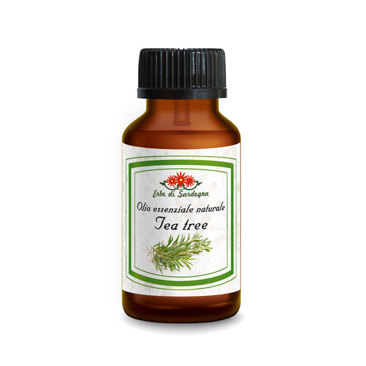 Olio essenziale di Tea Tree - ERBE DI SARDEGNA