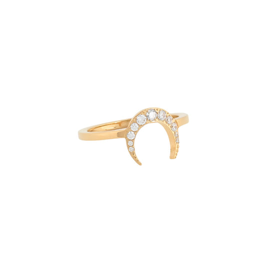 Moon's ring