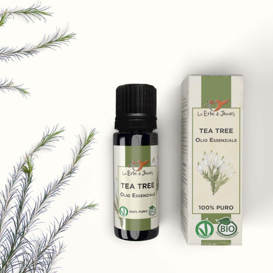 Olio essenziale tea tree (Erbe di Janas)